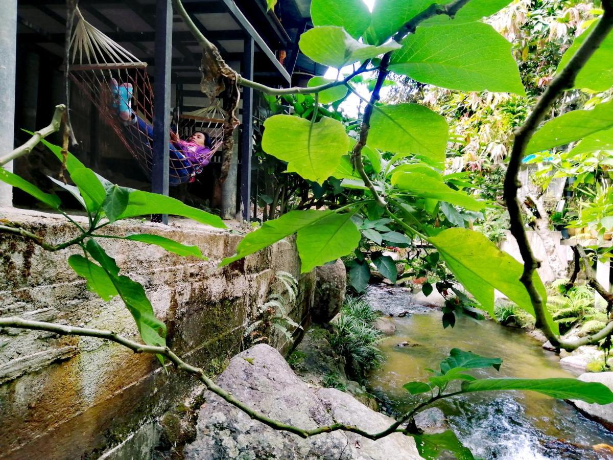 แม่อุ๊ยโฮมสเตย์&Mae Uai Homestay Ban Pok Nai Ngoại thất bức ảnh